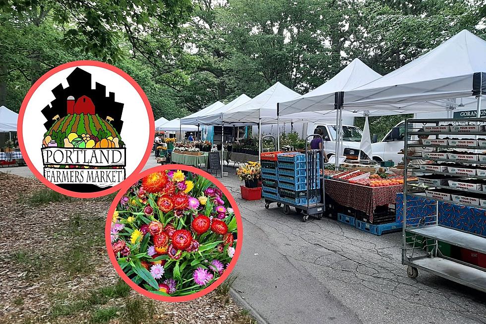 Maine's Iconic Outdoor Farmer's Market Has Nearly Returned