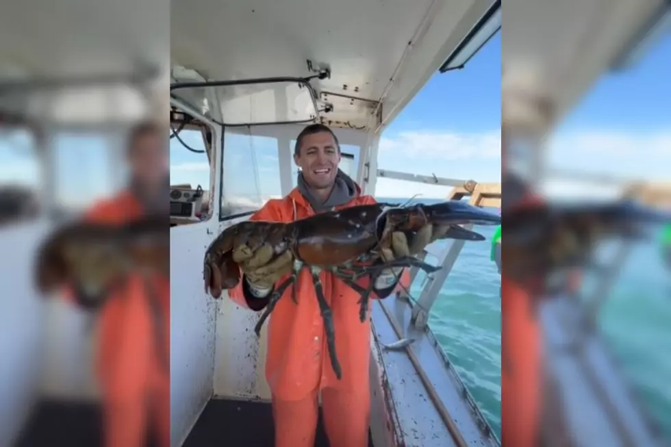 Monster Lobster Caught in Maine Could be Over 100 Years Old