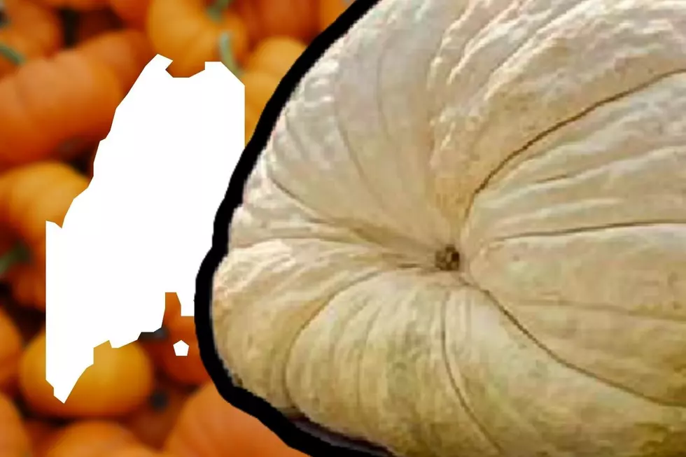 The Biggest Pumpkin Ever Recorded in Maine is So Massive It Weighs Over 1 Ton