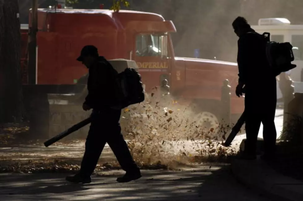 There&#8217;s a Leaf Blower Fight Brewing In Portland&#8217;s West End [PHOTOS]