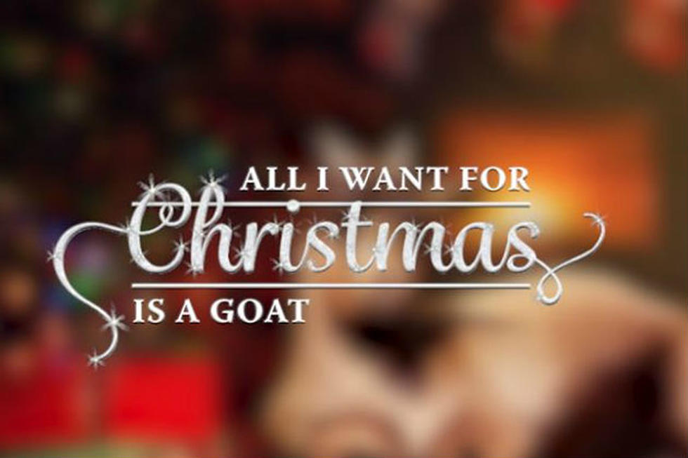 Goats Singing Christmas Songs [AUDIO]
