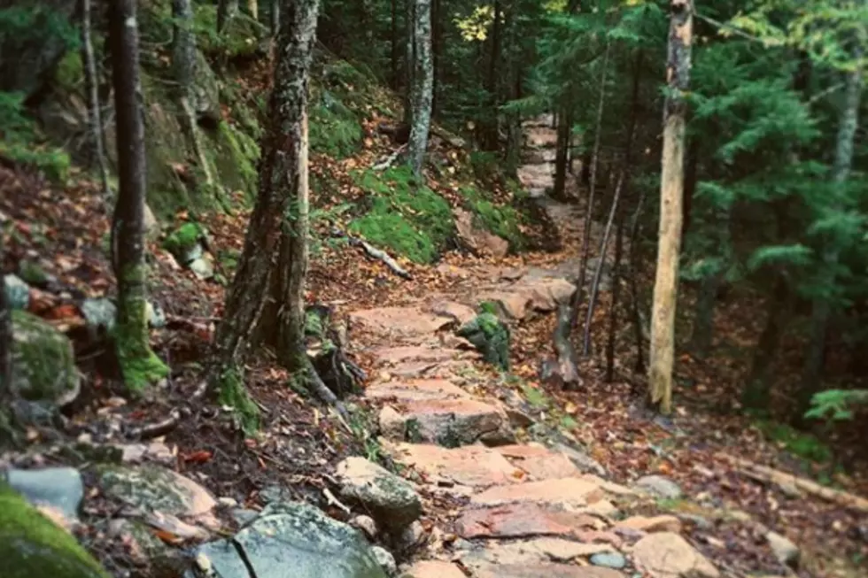 Hike Through The Creepiest Trail In Maine, Used In The ‘Pet Sematary’ Movie