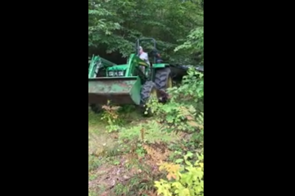 WATCH: Look What Game Wardens Found Dumped in the Woods – Who Does That?  [VIDEO]