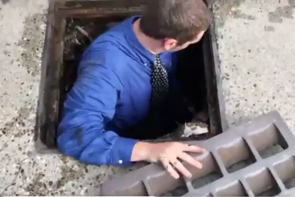 WATCH: McDonald’s Manager In Portland Saves Ducklings From Sewer Drain