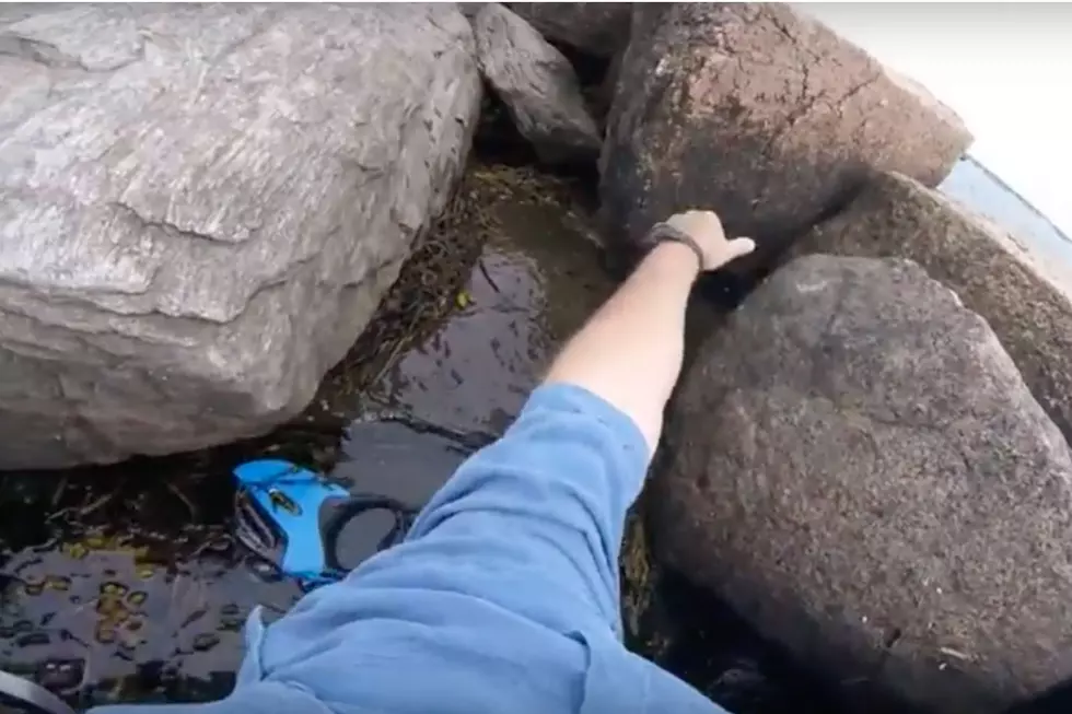 WATCH: Dude Takes Brutal Fall Onto Rocks Along Maine Coastline