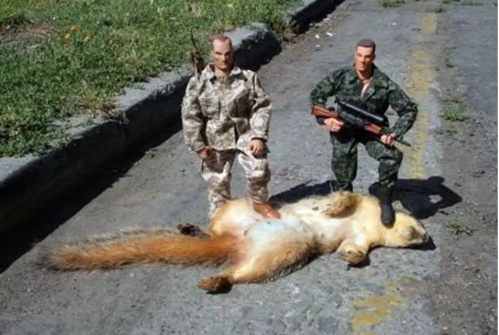 The 'Dead Squirrels Of Maine' Have Started Their Own Twitter Feed