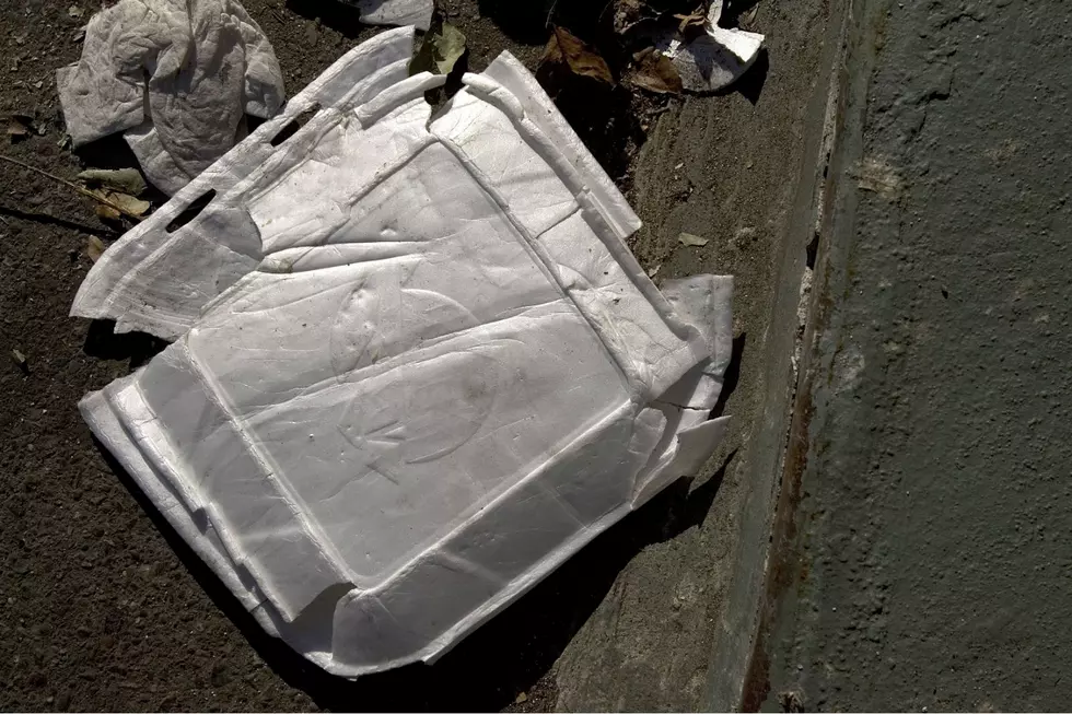 Maine Becomes First State In The Country To Ban Styrofoam