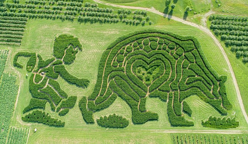 Maine&#8217;s Reigning Champion Corn Maze Competes for National Prize
