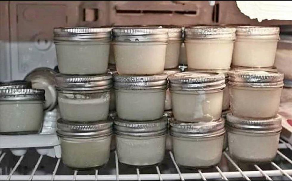 Someone In Maine Claims To Be Selling Cats Milk On Facebook