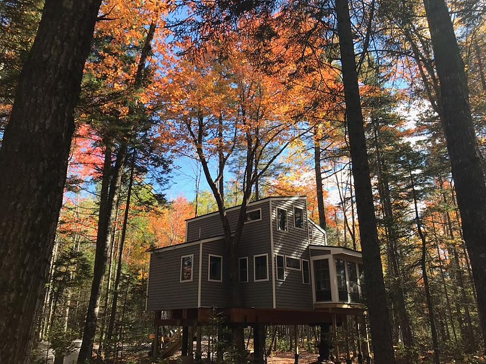 You and 7 Friends Can Rent This Luxury Treehouse In Maine For A Summer Getaway