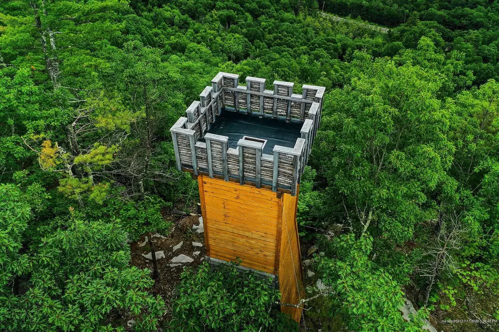 An Adult Playground In Maine Is For Sale Featuring A Castle, Luxury Treehouse and A Disc Golf Course