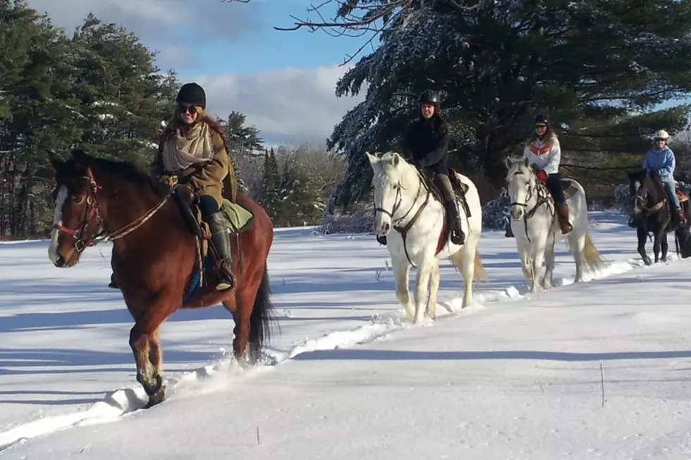 Ride Horseback Through A Winter Wonderland At A Maine Farm