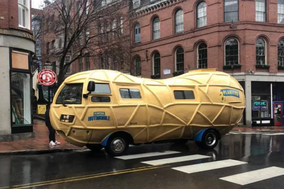 Yes, That Was A Giant Nut Driving Through Portland On Thursday