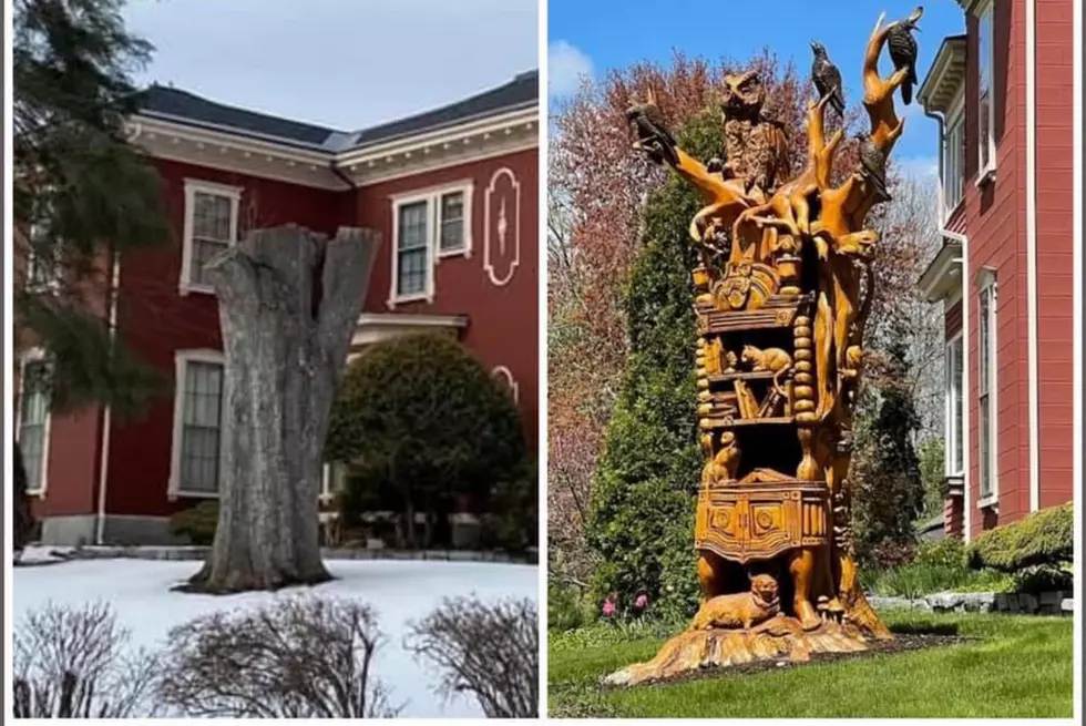 Stephen King's Maine Home Gets New Frightening Tree Sculpture