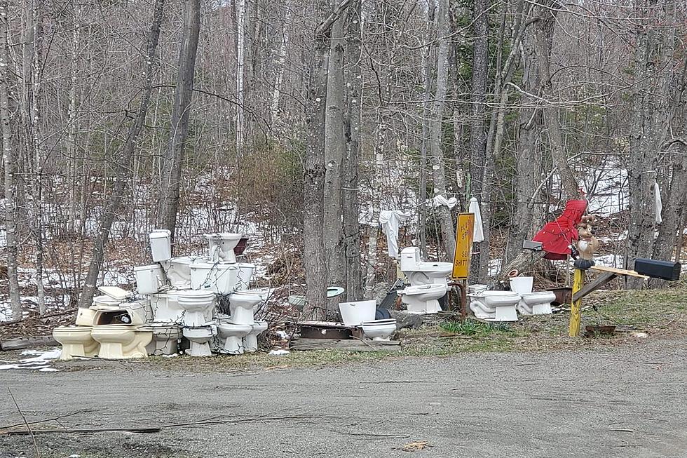 Is This Toilet Graveyard Maine's Strangest Roadside Attraction?