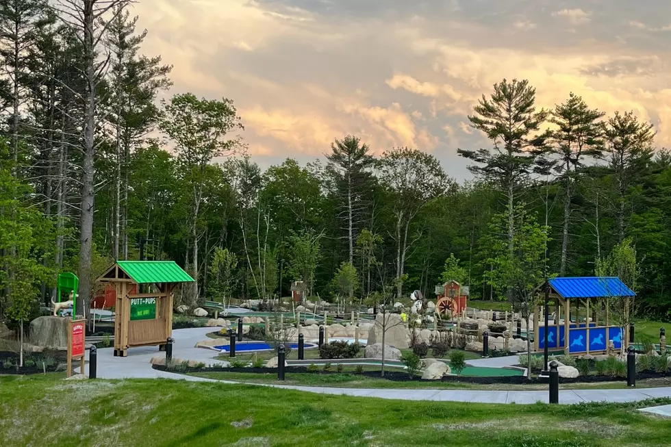 There's a New Dog-Themed Mini Golf Course In Acton, Maine