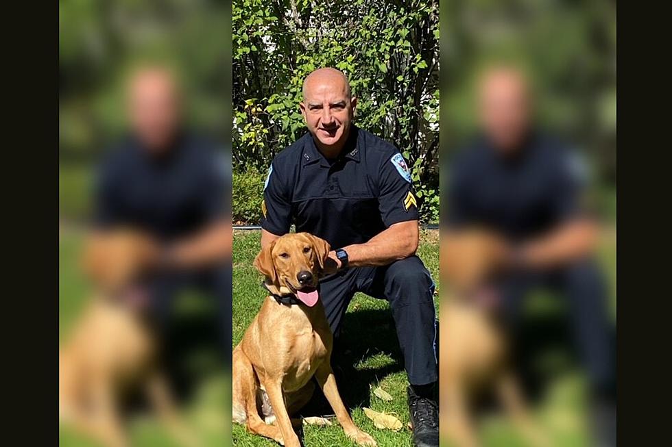 Maine Police Department Welcomes Adorable Dog 'Tag' to the Team