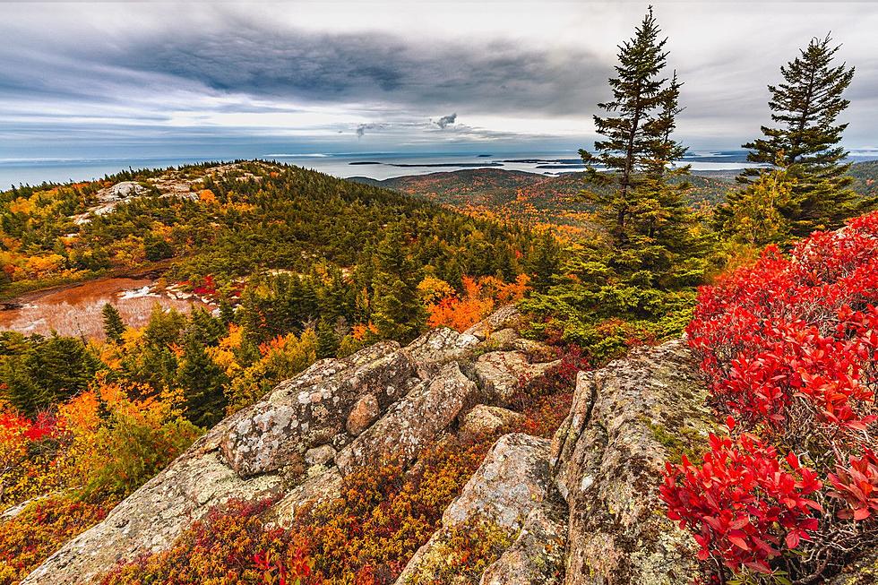 Have You Seen This Weekly Maine Fall Foliage Report?