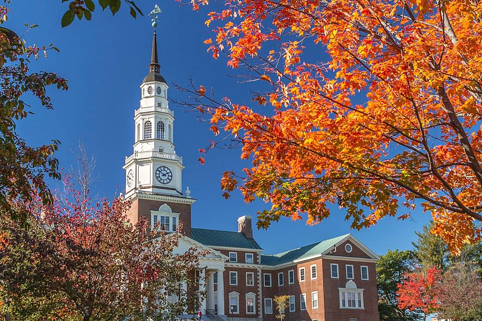 One of the Toughest Colleges in America to Get Into is Right Here in Maine