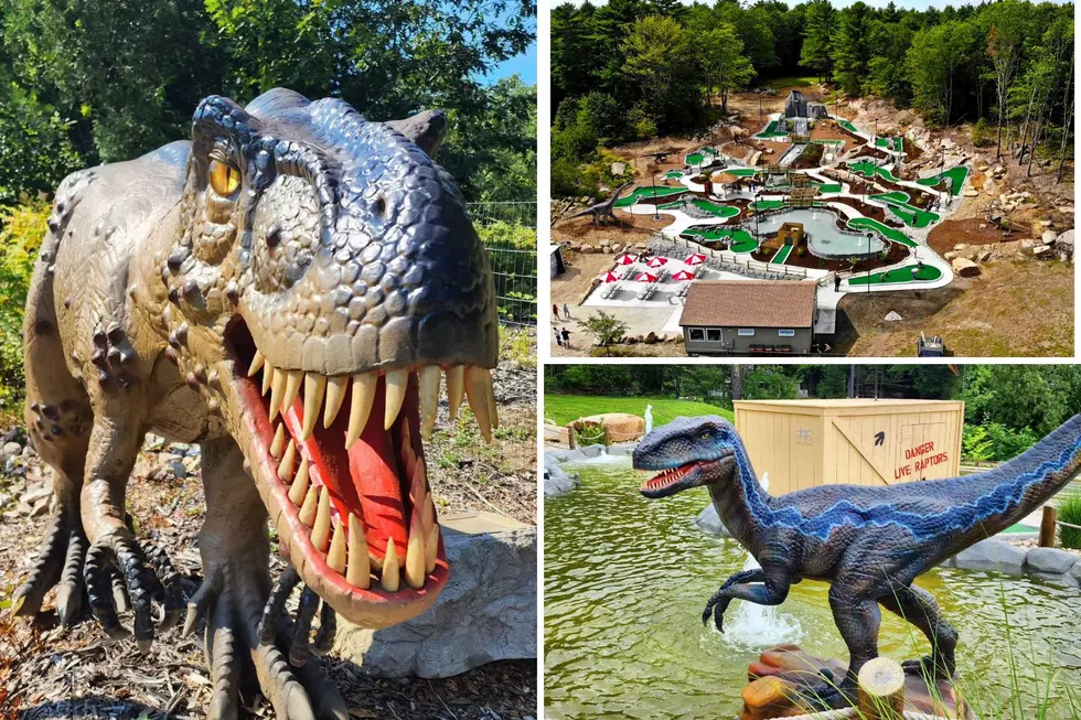 Love Dinosaurs and Mini Golf? Raptor Falls in Arundel, Maine, Opens for the Season Soon