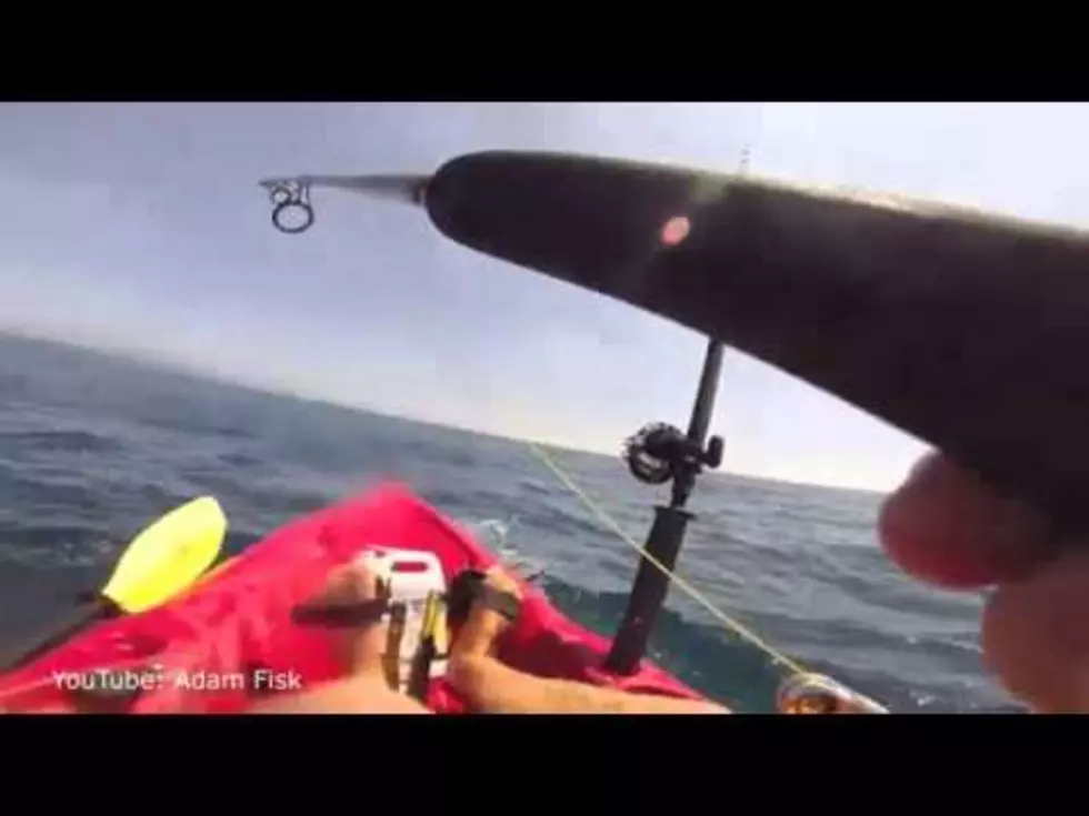 Kayaker Towed For Two Hours By Shark [VIDEO]