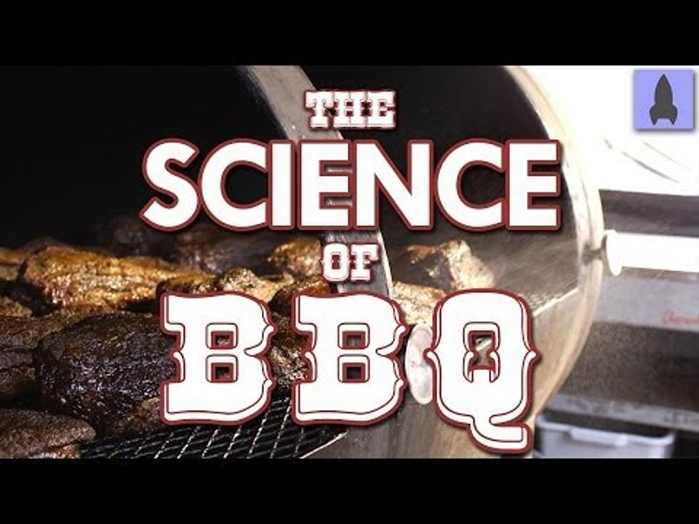 Gonna Fire Up The Grill Tonight?  You Better Watch The Science Of BBQ First! [VIDEO]