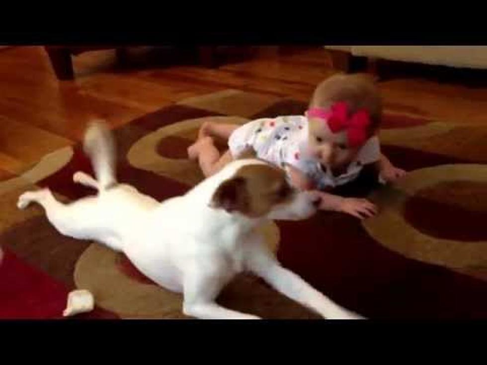 The Most Adorable Thing You’ll See Today Is This Puppy Teaching A Baby To Crawl [VIDEO]