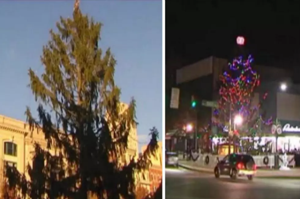 Ugly Tree Ruining Christmas in Pennsylvania Town [VIDEO]