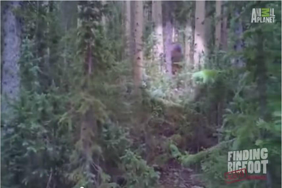 Finding Bigfoot NH/Maine Episode is Tonight!