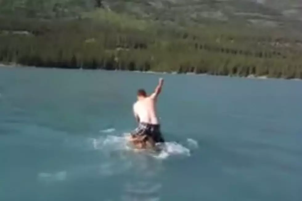 Canadian Man Rides Moose As It Gallops Through The Water [VIDEO]