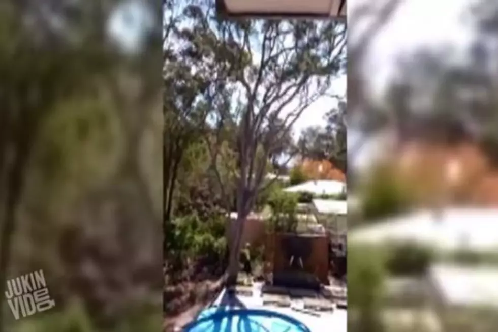 This Is The WRONG Way To Cut Down A Tree [VIDEO]