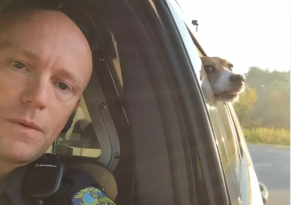 Bangor Police Officer Takes Selfie with Runaway Puppy and it Goes Viral