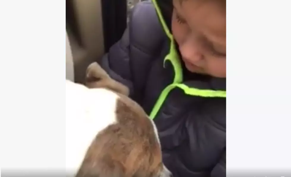 Little Boy Reunites with Lost Dog and Holy Sh*t I’m Going to Cry [VIDEO]
