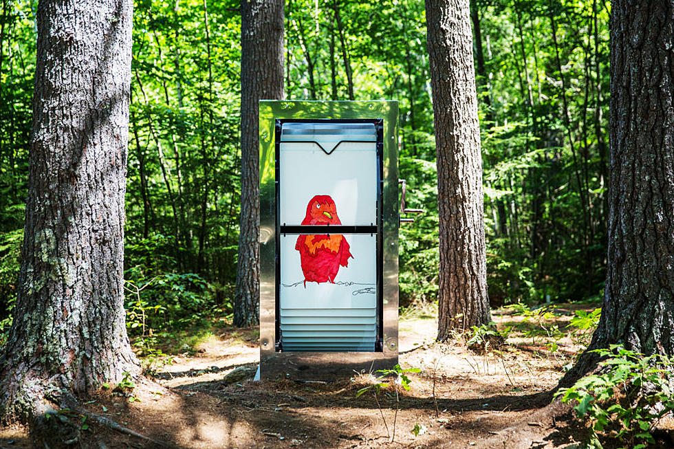 New Hampshire Town Has Giant Flip-Books Straight Chillin&#8217; in the Woods
