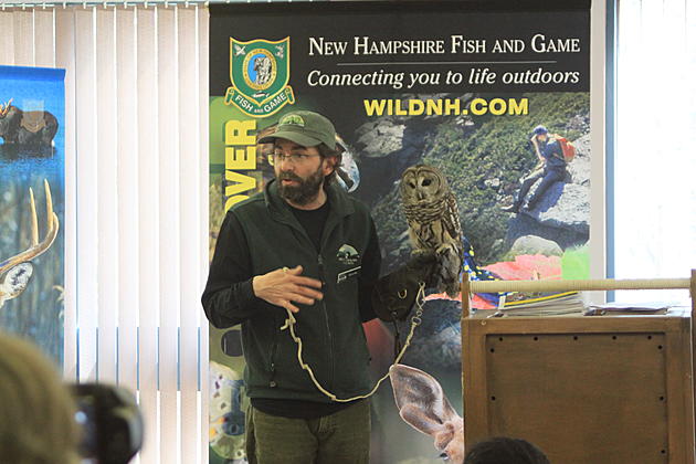 Saturday Is Discover WILD New Hampshire Day In Concord And It&#8217;s A FREE Event