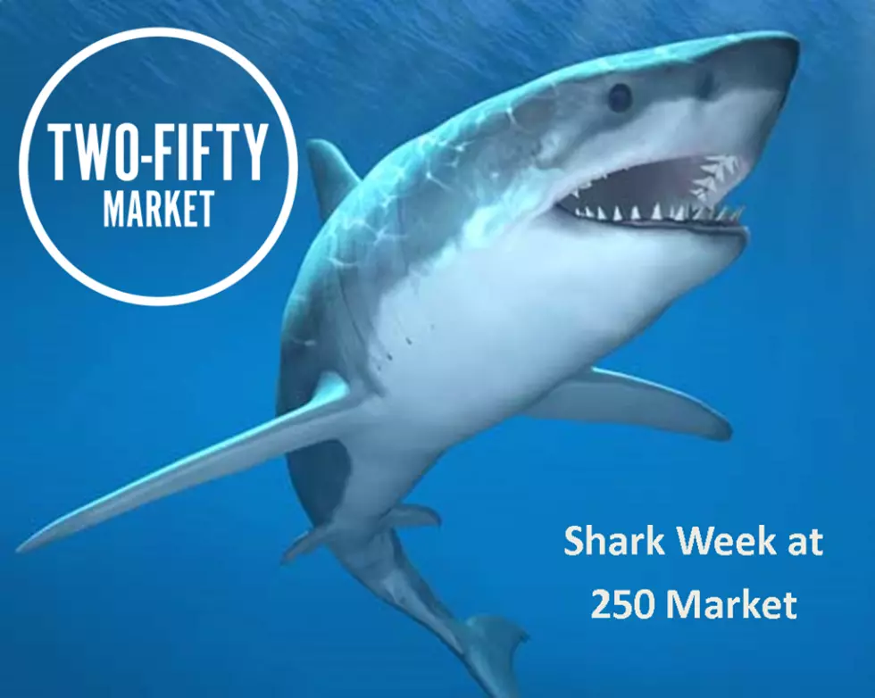 Celebrating Shark Week With The Shark at 250 Market In Portsmouth Is A NO BRAINER!