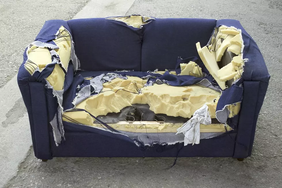Time to Vote on the Ugliest Couch in New Hampshire