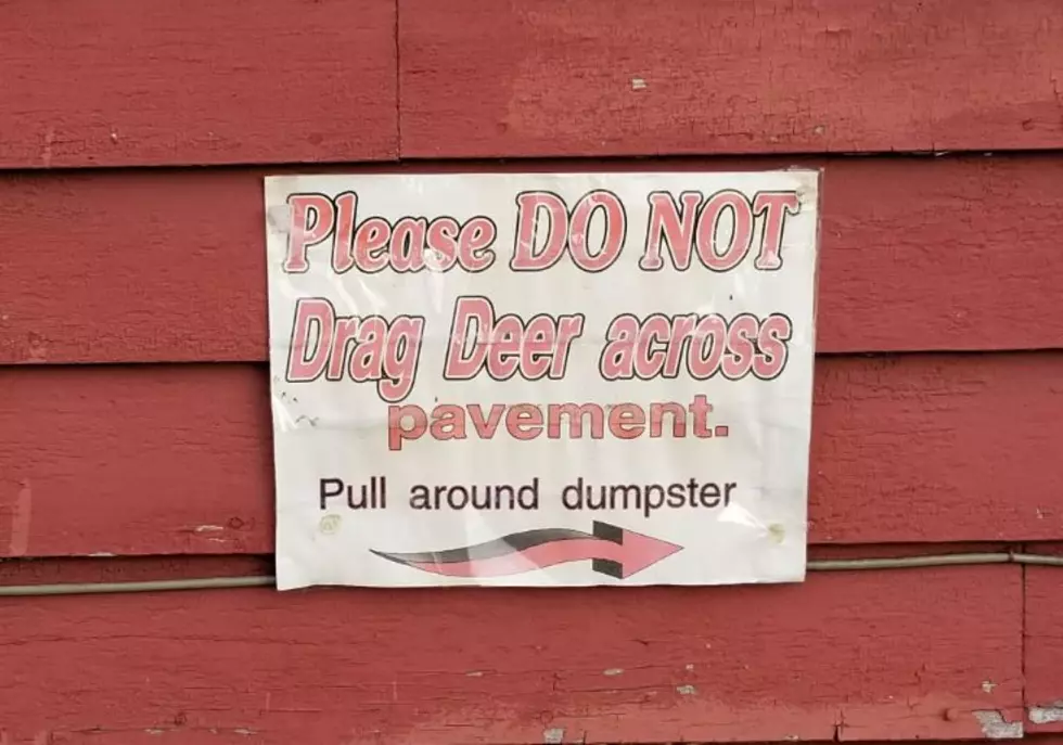 Outrageous Deer Carcass Etiquette Sign is So NH