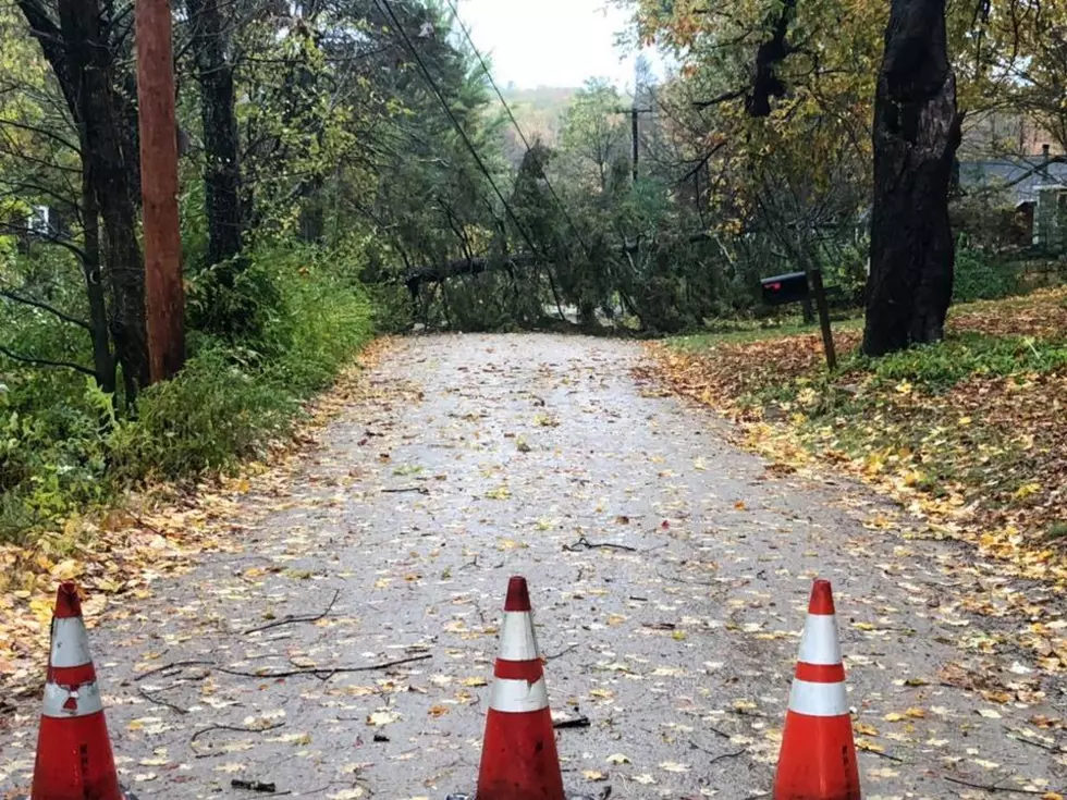 See Photos of the Damage, Downed Trees Across NH Due to the Storm