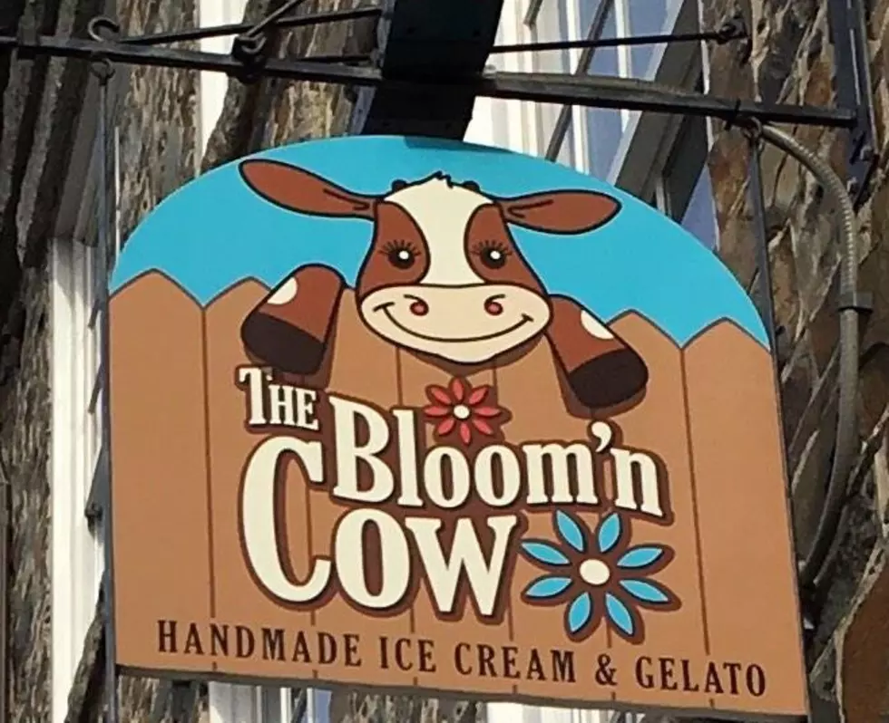 Bloom'n Cow Suddenly Shutters Rochester & Newmarket Locations 