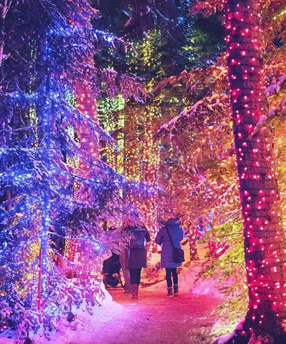 One of the United States' Best Christmas Light Displays in Maine