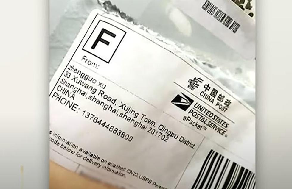 Here's What To Do If You Get Seeds In the Mail From China