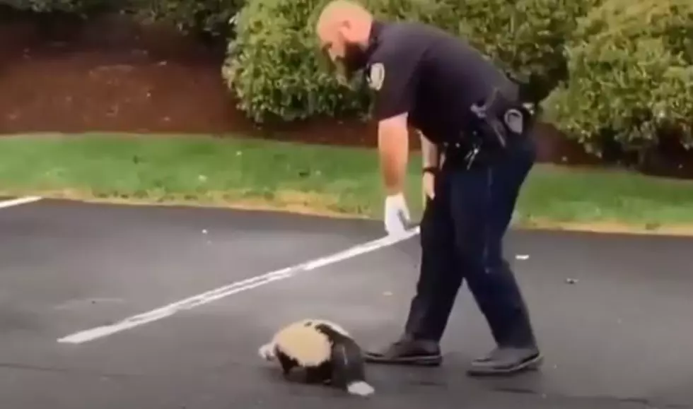 Tewksbury PD Officer Rescues Skunk From Container