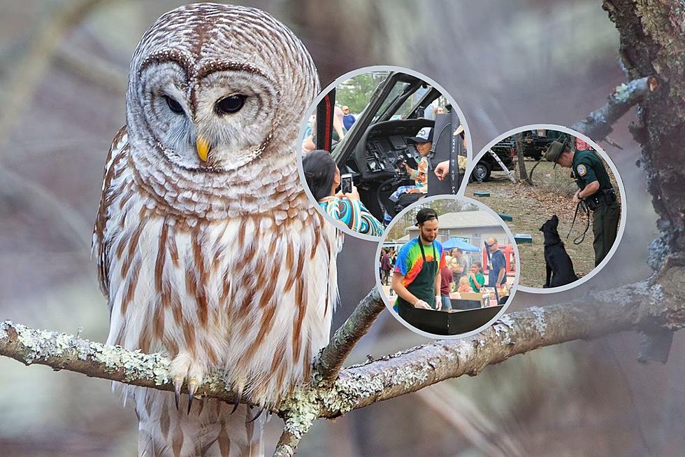 Food Trucks, Raffles, Animals, & More at Discover WILD New Hampshire Day April 16th