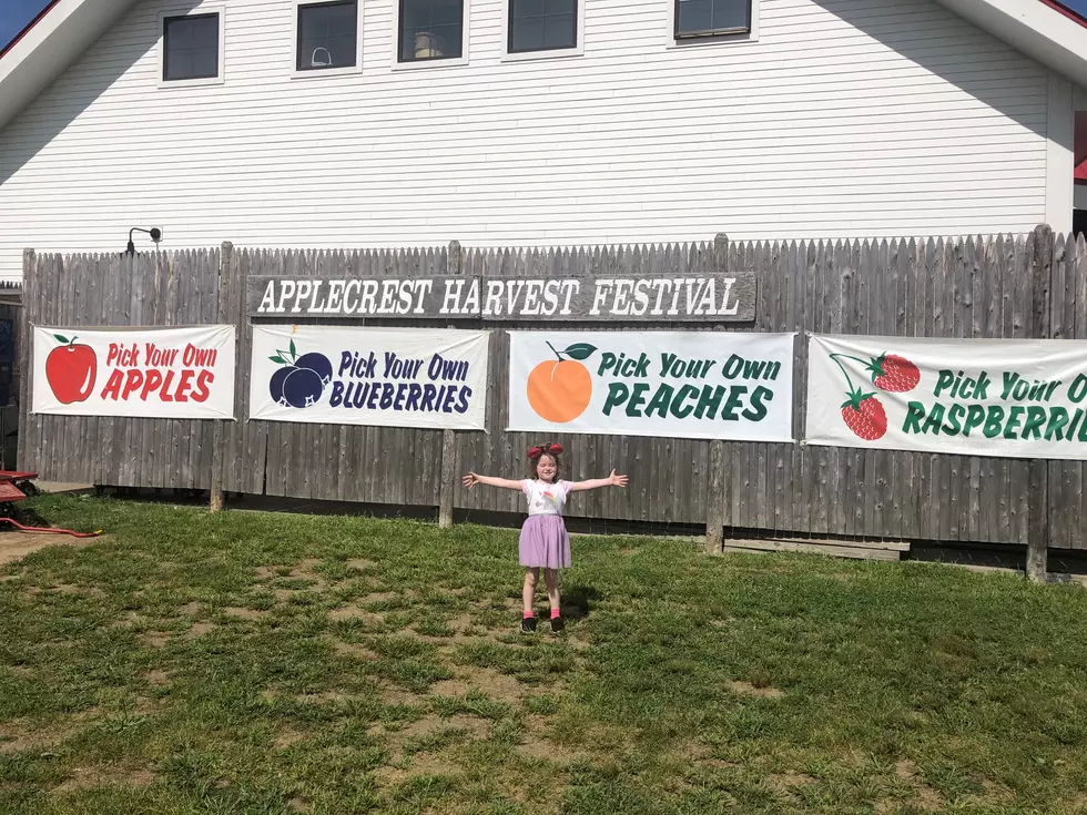 USA Today Flat Out Snubs This Legendary New Hampshire Apple Orchard