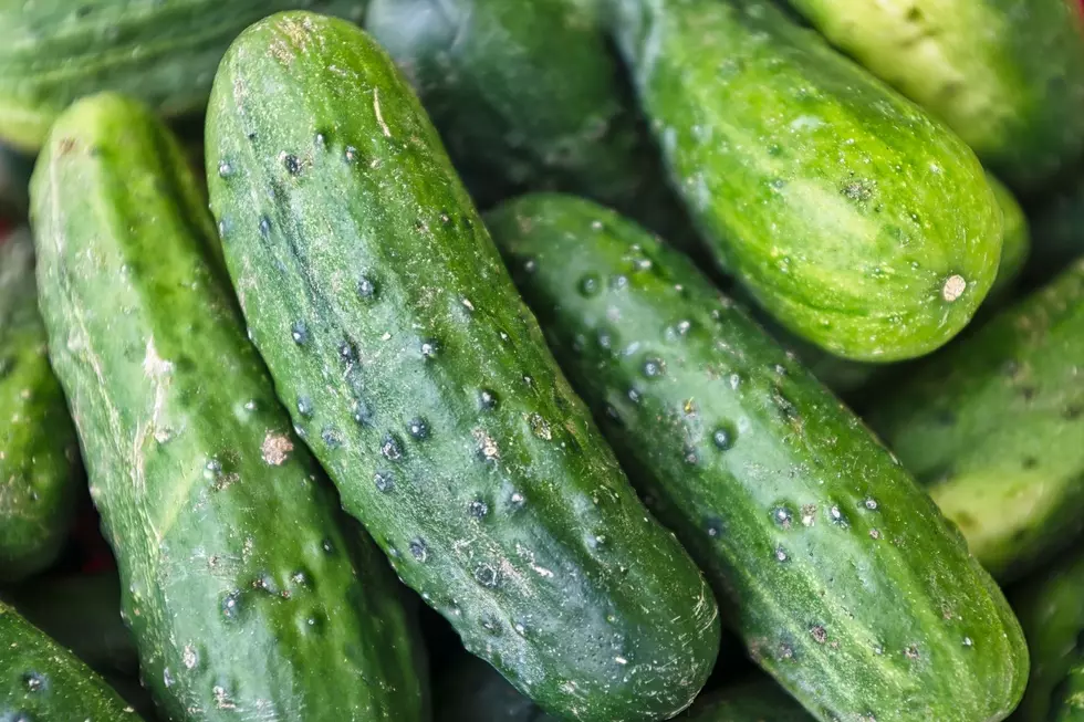 Get Out and Get Help if You Smell Cucumbers in Your House Here in New England