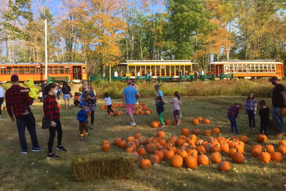 All Aboard the Pumpkin Patch Trolley in Kennebunkport, Maine