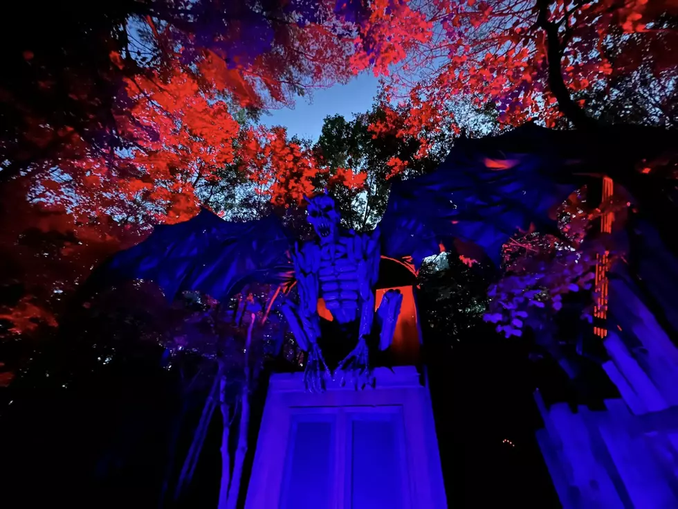 This New Hampshire Halloween Attraction Offers 'No Fright' Nights