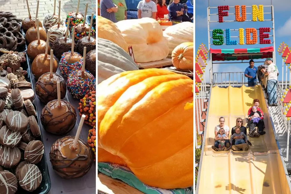 New Hampshire Pumpkin Festival Stands Out in New England