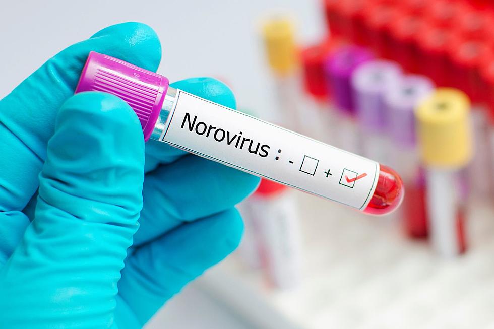 Contagious Norovirus Stomach Bug has Spread to Massachusetts